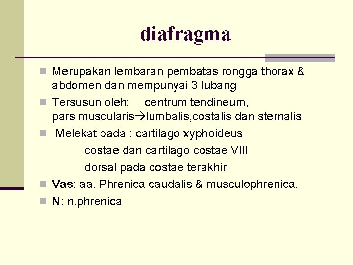 diafragma n Merupakan lembaran pembatas rongga thorax & n n abdomen dan mempunyai 3