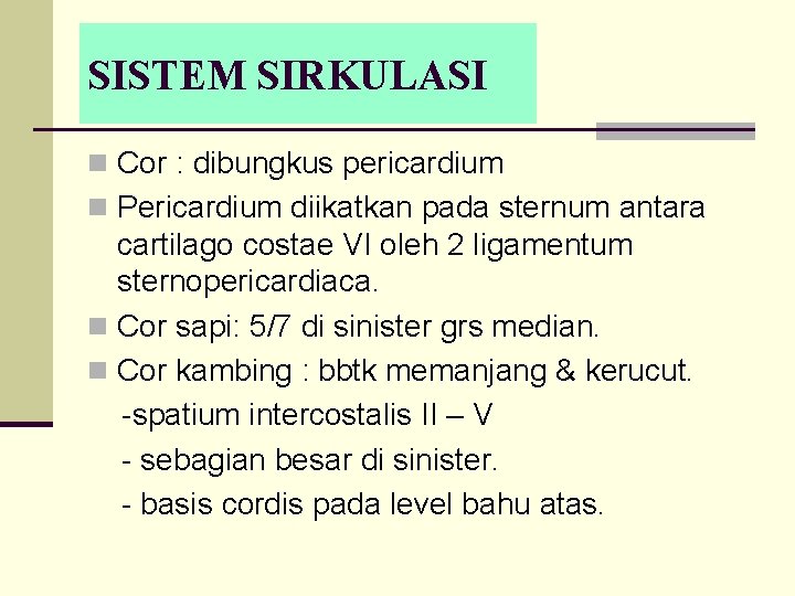 SISTEM SIRKULASI n Cor : dibungkus pericardium n Pericardium diikatkan pada sternum antara cartilago