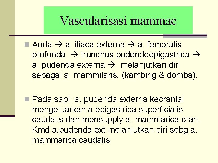 Vascularisasi mammae n Aorta a. iliaca externa a. femoralis profunda trunchus pudendoepigastrica a. pudenda