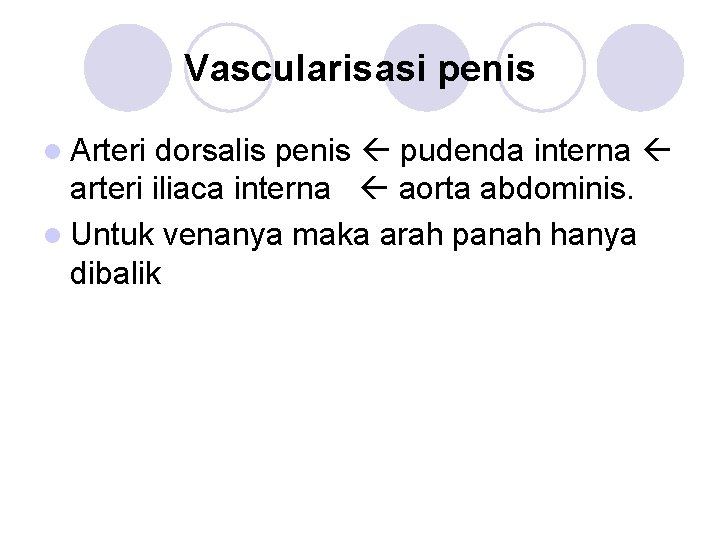 Vascularisasi penis l Arteri dorsalis penis pudenda interna arteri iliaca interna aorta abdominis. l