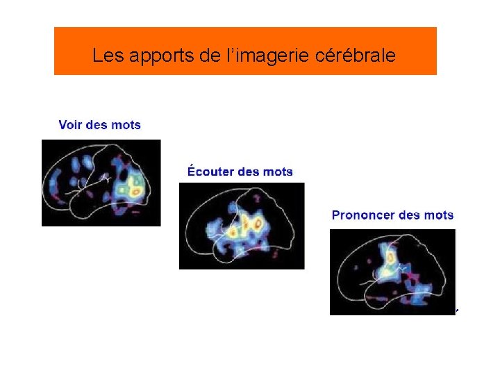 Les apports de l’imagerie cérébrale 