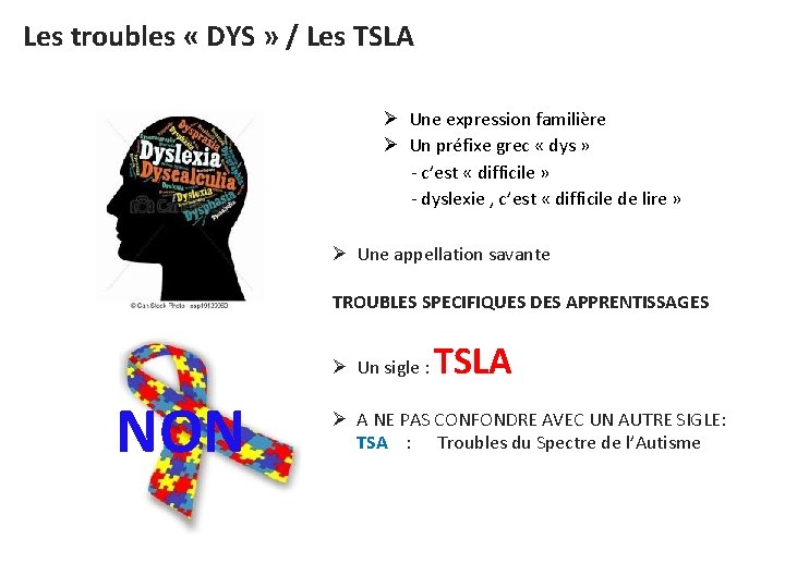 Les troubles « DYS » / Les TSLA Ø Une expression familière Ø Un