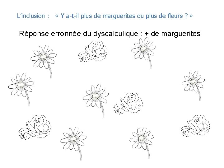 L’inclusion : « Y a-t-il plus de marguerites ou plus de fleurs ? »