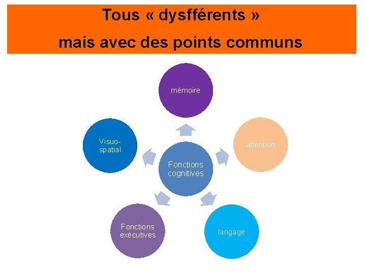 Tous « dysfférents » mais avec des points communs mémoire Visuospatial attention Fonctions cognitives