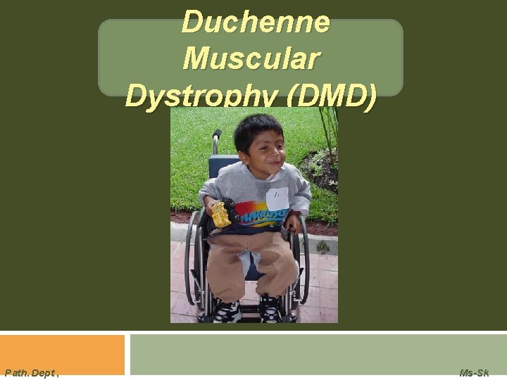 Duchenne Muscular Dystrophy (DMD) Path. Dept , Ms-Sk 