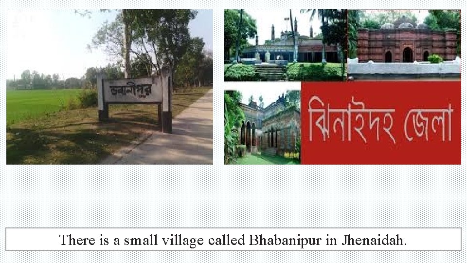 There is a small village called Bhabanipur in Jhenaidah. 