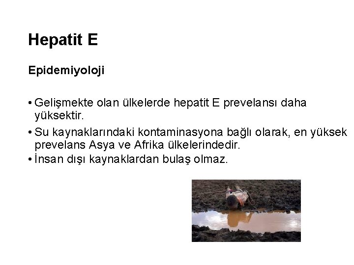 Hepatit E Epidemiyoloji • Gelişmekte olan ülkelerde hepatit E prevelansı daha yüksektir. • Su