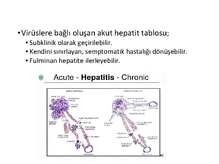  • Virüslere bağlı oluşan akut hepatit tablosu; • Subklinik olarak geçirilebilir. • Kendini