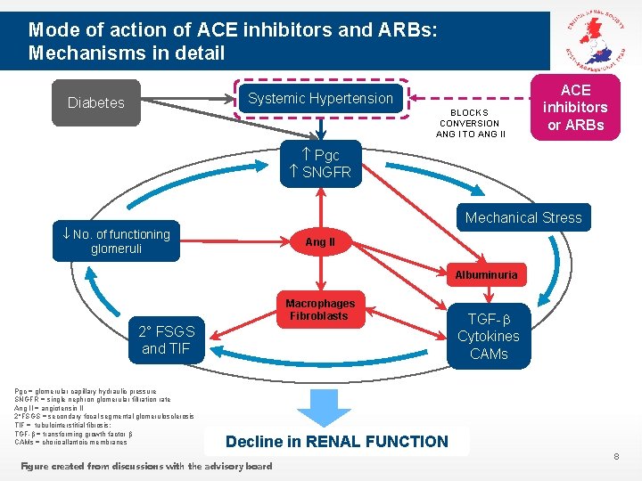 Mode of action of ACE inhibitors and ARBs: Mechanisms in detail Systemic Hypertension Diabetes