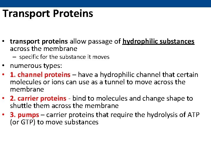 Transport Proteins • transport proteins allow passage of hydrophilic substances across the membrane –