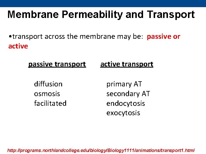 Membrane Permeability and Transport • transport across the membrane may be: passive or active