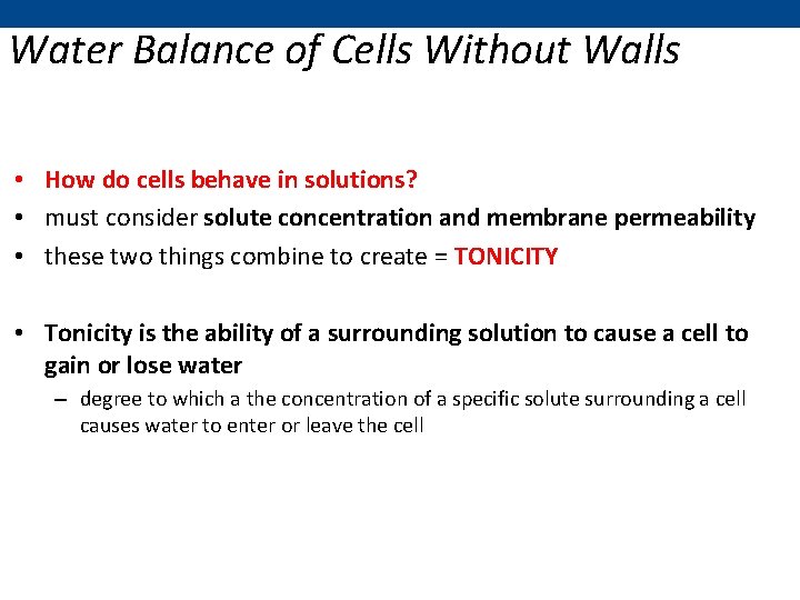 Water Balance of Cells Without Walls • How do cells behave in solutions? •
