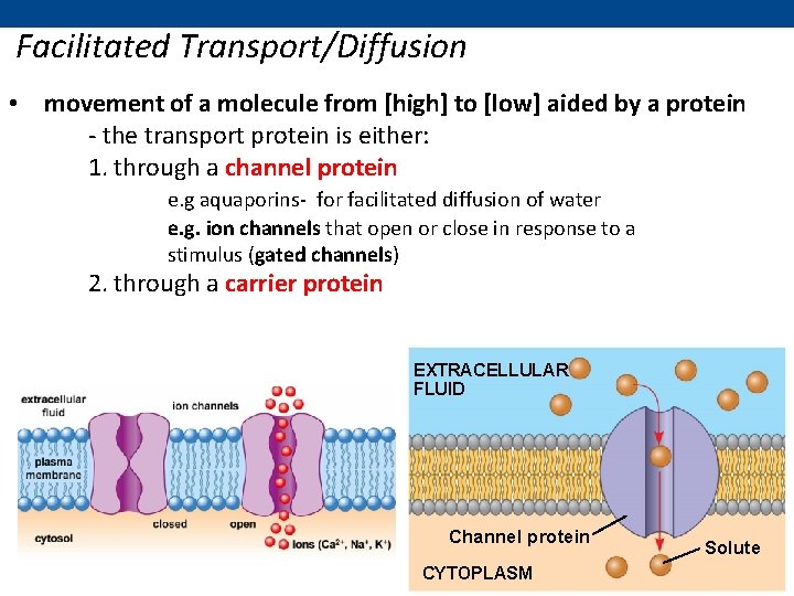 Facilitated Transport/Diffusion • movement of a molecule from [high] to [low] aided by a