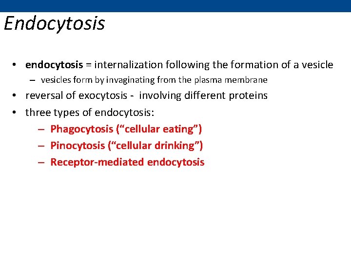 Endocytosis • endocytosis = internalization following the formation of a vesicle – vesicles form
