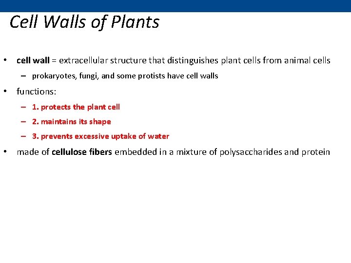 Cell Walls of Plants • cell wall = extracellular structure that distinguishes plant cells