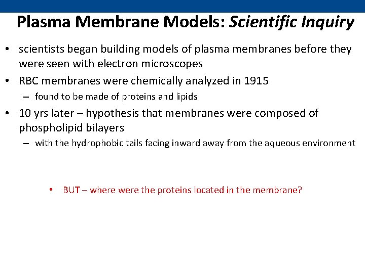 Plasma Membrane Models: Scientific Inquiry • scientists began building models of plasma membranes before