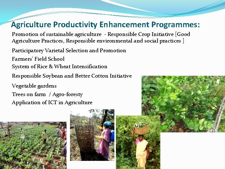  Agriculture Productivity Enhancement Programmes: Promotion of sustainable agriculture - Responsible Crop Initiative [Good