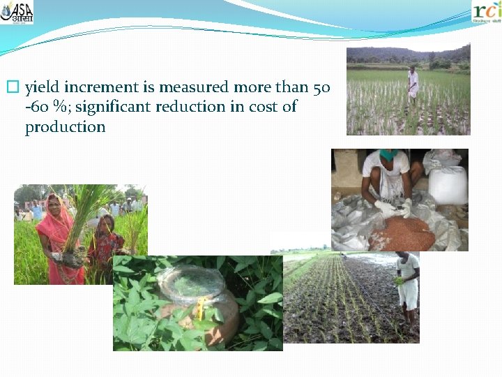 � yield increment is measured more than 50 -60 %; significant reduction in cost