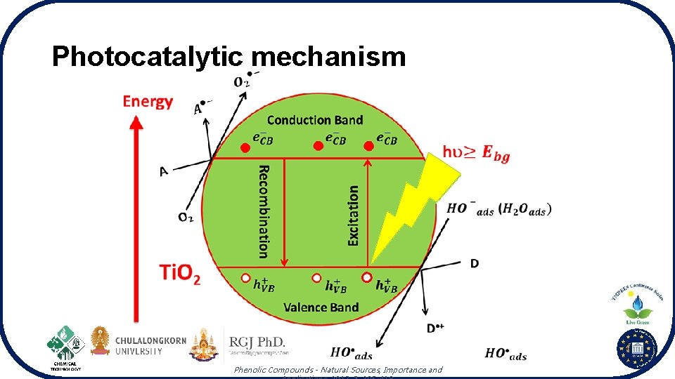 Photocatalytic mechanism Phenolic Compounds - Natural Sources, Importance and 