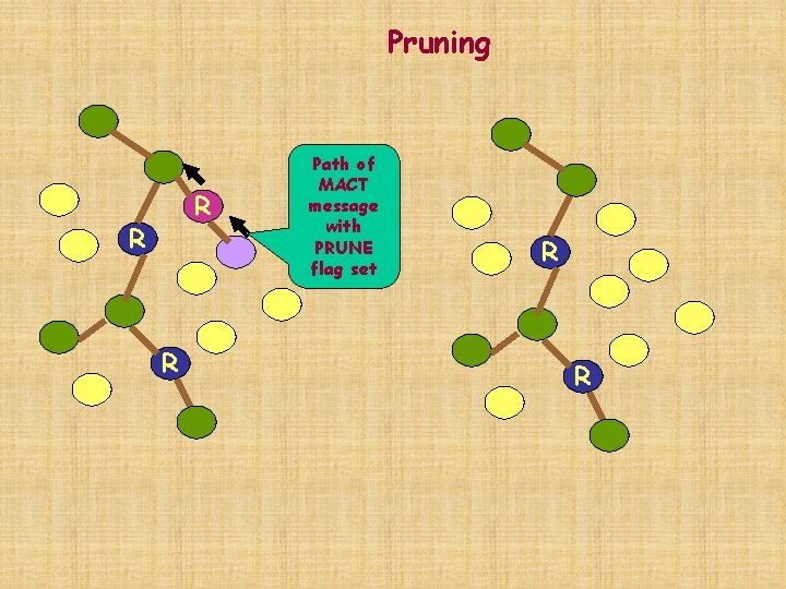 Pruning R R R Path of MACT message with PRUNE flag set R R