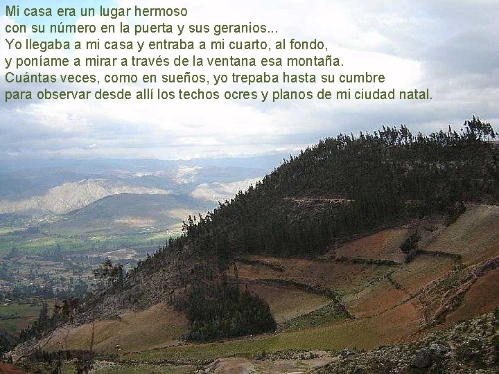 Mi casa era un lugar hermoso con su número en la puerta y sus