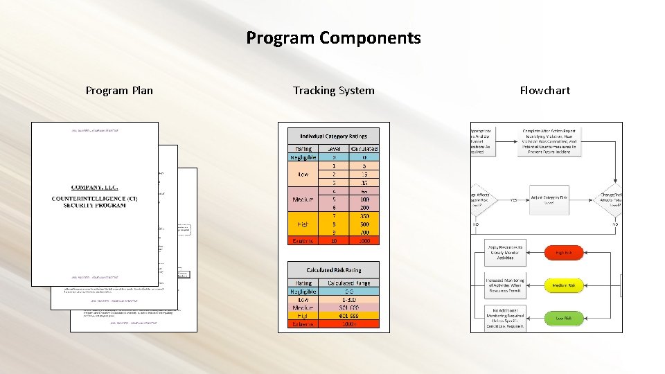 Program Components Program Plan Tracking System Flowchart 