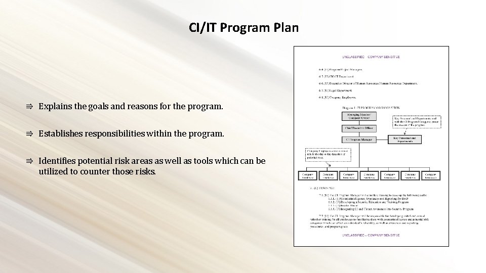 CI/IT Program Plan ⇛ Explains the goals and reasons for the program. ⇛ Establishes