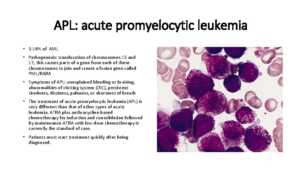 APL: acute promyelocytic leukemia • 5 -10% of AML • Pathogenesis: translocation of chromosomes