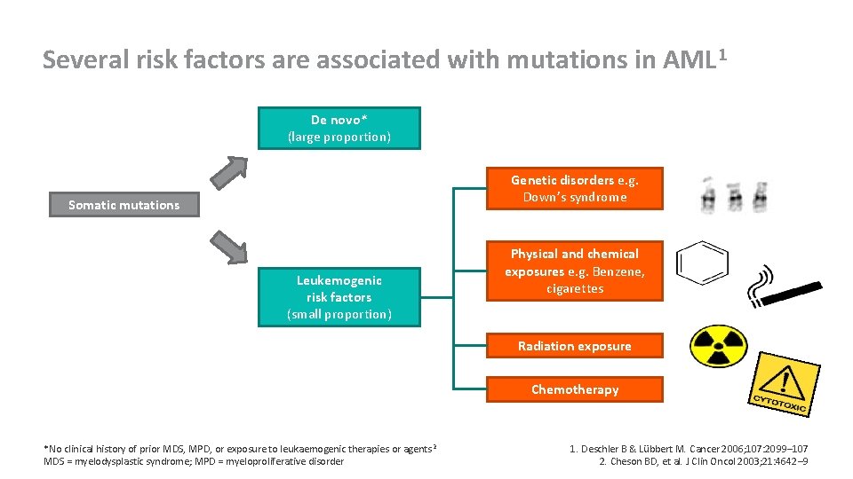 Several risk factors are associated with mutations in AML 1 De novo* (large proportion)