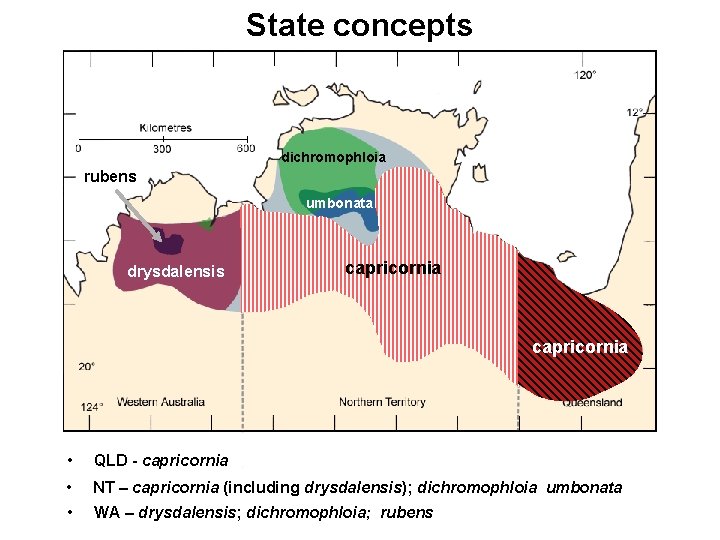 State concepts dichromophloia rubens umbonata drysdalensis capricornia • QLD - capricornia • NT –