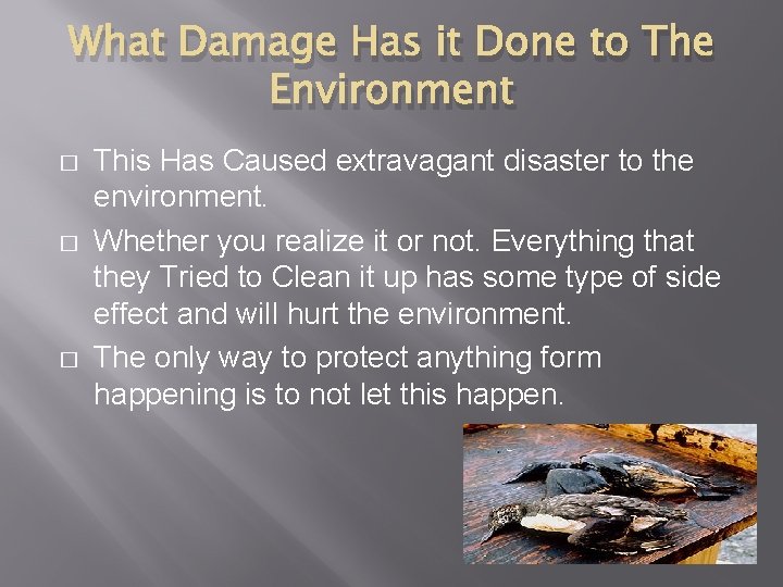 What Damage Has it Done to The Environment � � � This Has Caused
