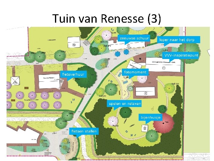 Tuin van Renesse (3) 
