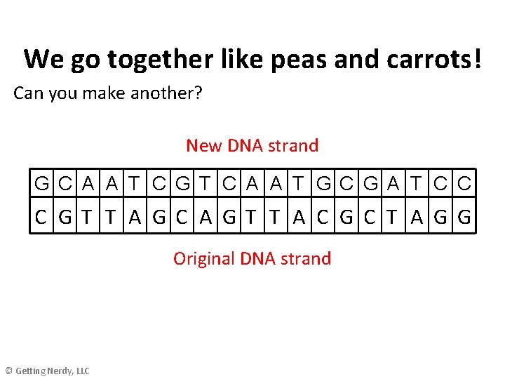 We go together like peas and carrots! Can you make another? New DNA strand