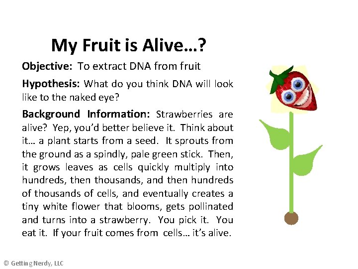 My Fruit is Alive…? Objective: To extract DNA from fruit Hypothesis: What do you