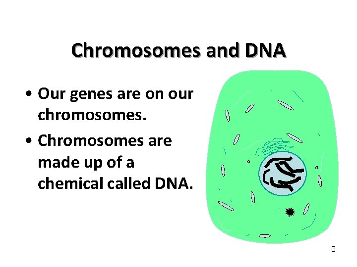 Chromosomes and DNA • Our genes are on our chromosomes. • Chromosomes are made