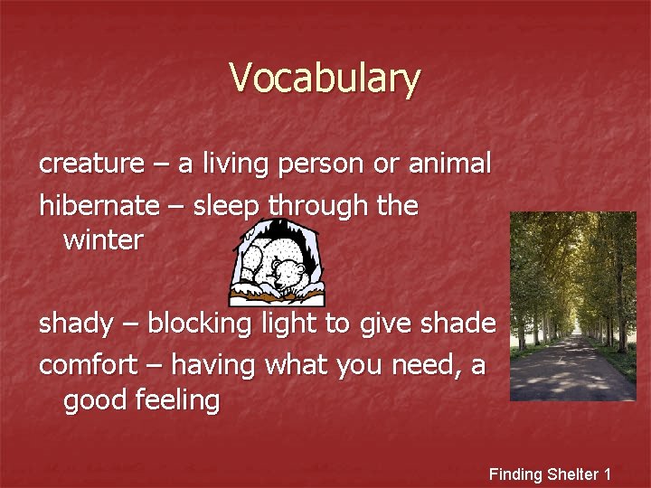 Vocabulary creature – a living person or animal hibernate – sleep through the winter