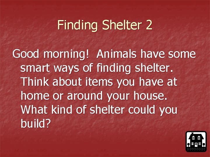 Finding Shelter 2 Good morning! Animals have some smart ways of finding shelter. Think
