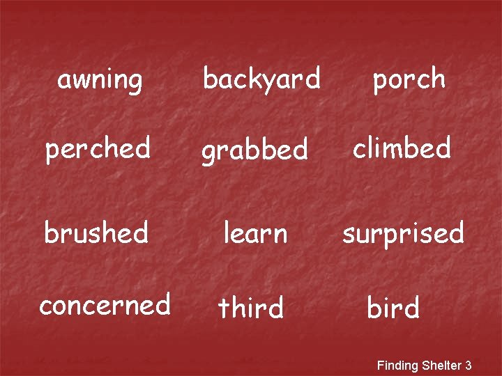 awning backyard porch perched grabbed climbed brushed learn surprised concerned third bird Finding Shelter