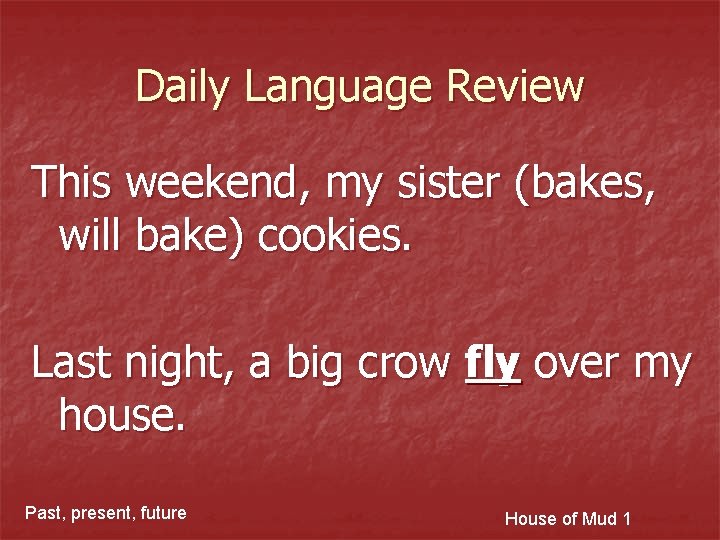 Daily Language Review This weekend, my sister (bakes, will bake) cookies. Last night, a