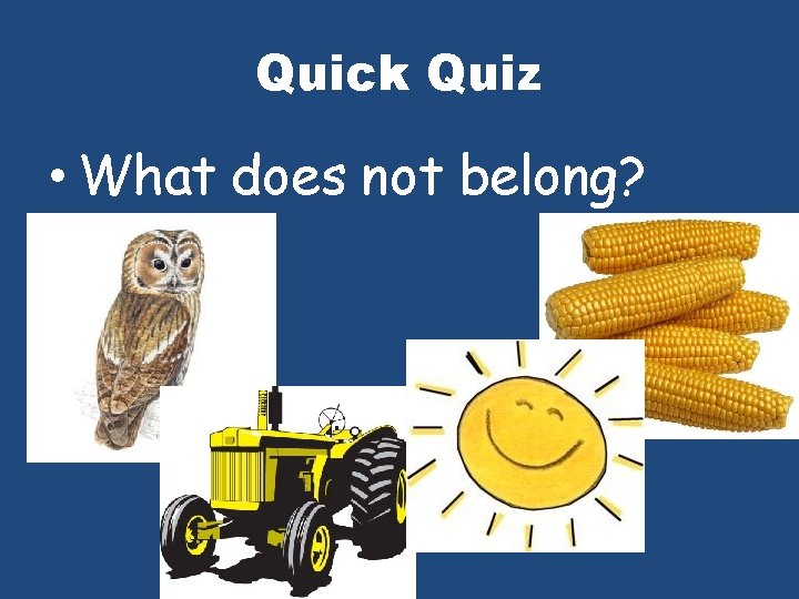 Quick Quiz • What does not belong? 