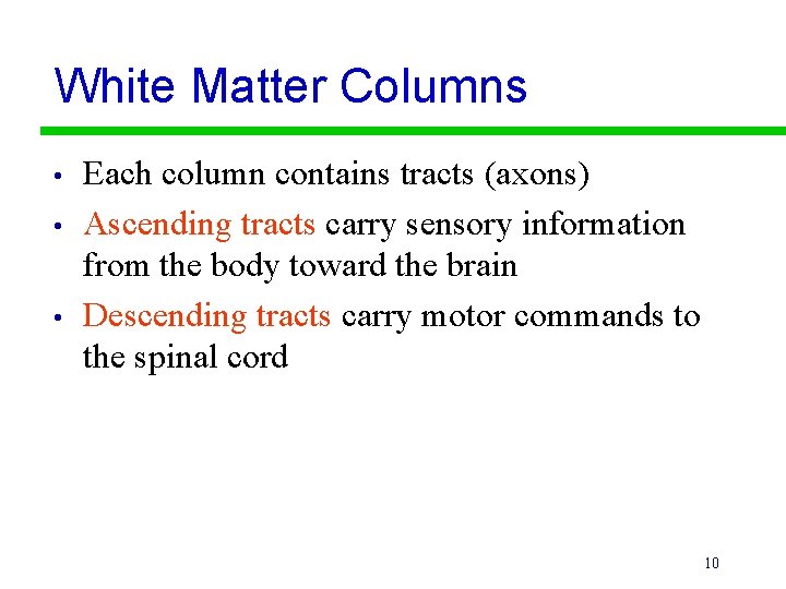 White Matter Columns • • • Each column contains tracts (axons) Ascending tracts carry