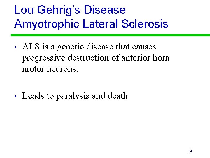 Lou Gehrig’s Disease Amyotrophic Lateral Sclerosis • ALS is a genetic disease that causes