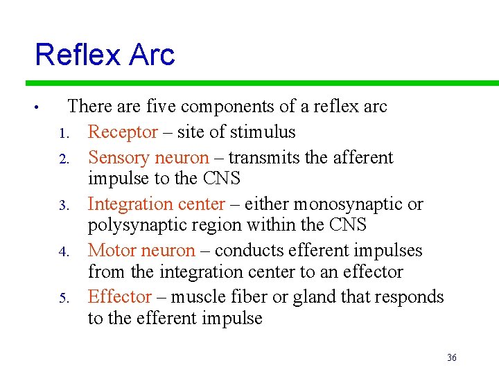 Reflex Arc • There are five components of a reflex arc 1. Receptor –