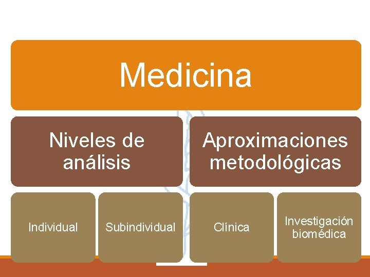 Medicina Niveles de análisis Individual Subindividual Aproximaciones metodológicas Clínica Investigación biomédica 