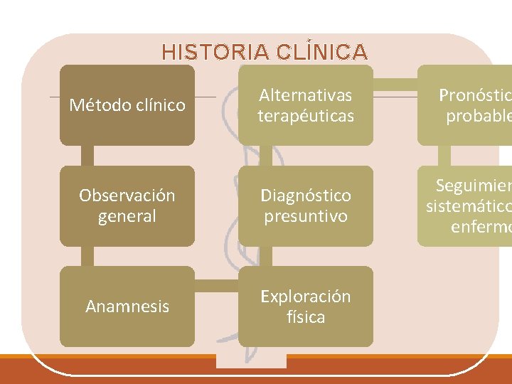 HISTORIA CLÍNICA Método clínico Alternativas terapéuticas Pronóstic probable Observación general Diagnóstico presuntivo Seguimien sistemático