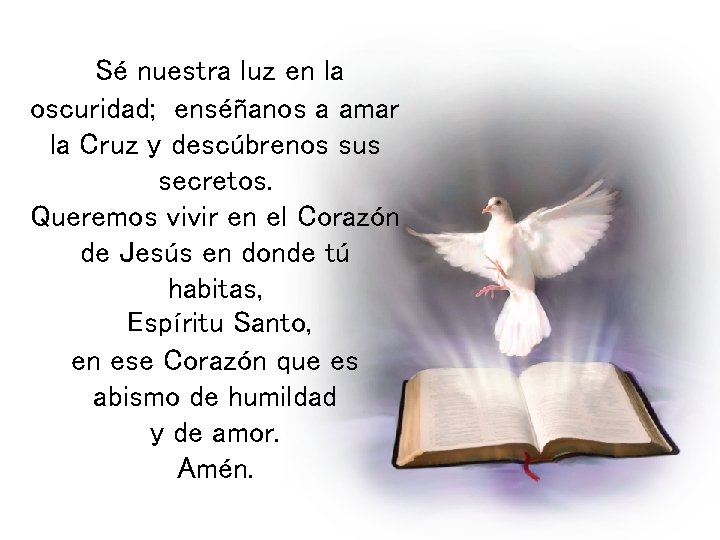 Sé nuestra luz en la oscuridad; enséñanos a amar la Cruz y descúbrenos sus