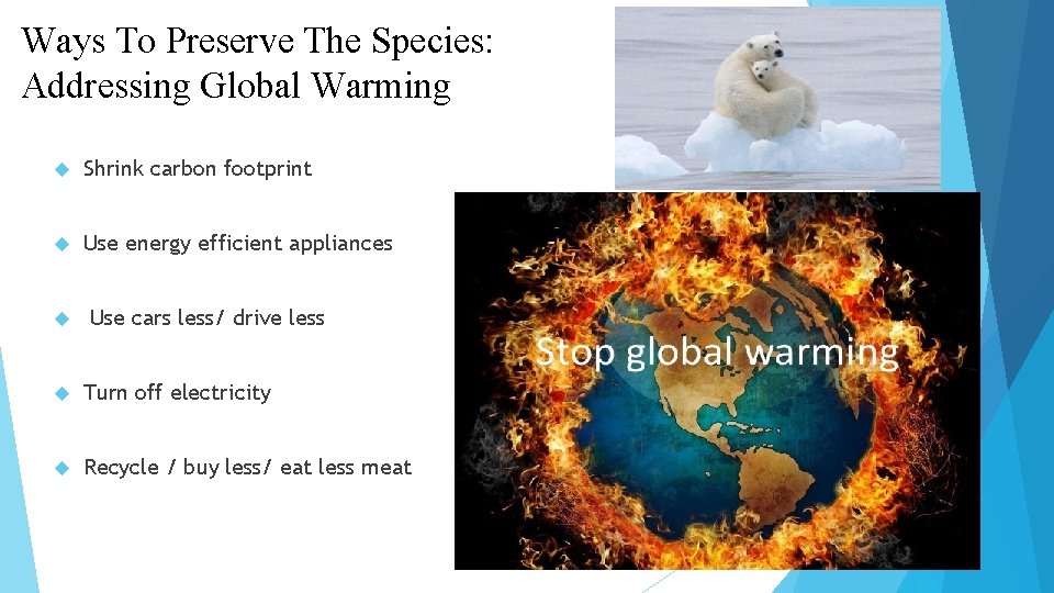 Ways To Preserve The Species: Addressing Global Warming Shrink carbon footprint Use energy efficient