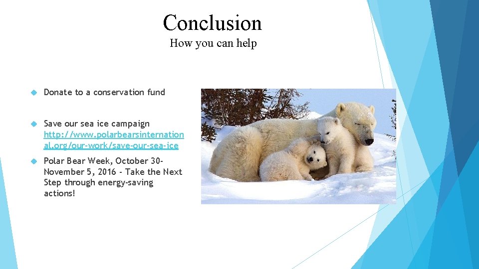 Conclusion How you can help Donate to a conservation fund Save our sea ice