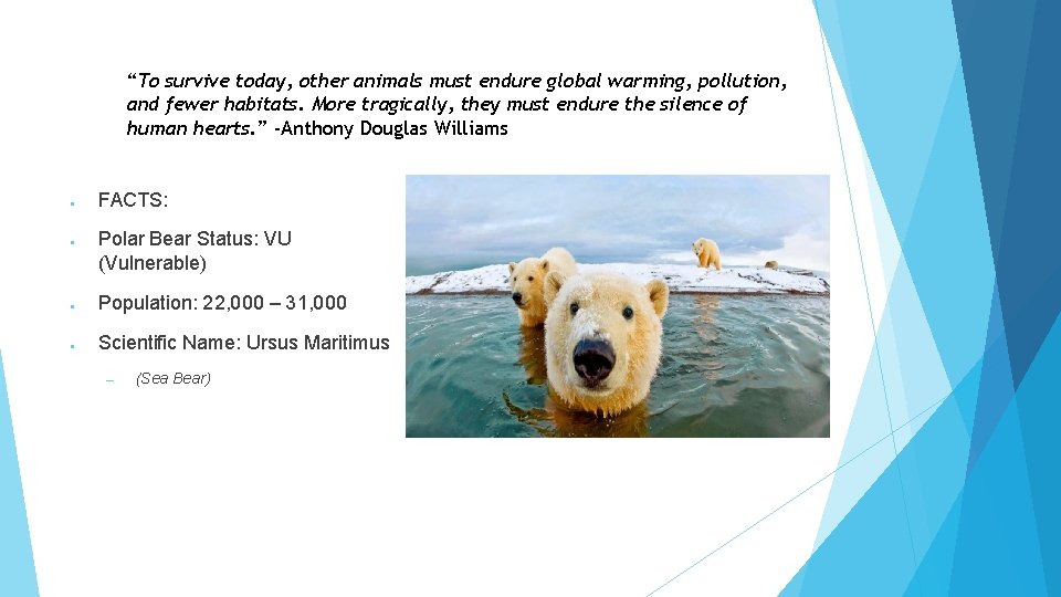“To survive today, other animals must endure global warming, pollution, and fewer habitats. More