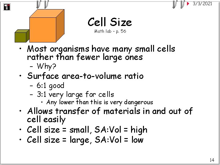 3/3/2021 Cell Size Math lab – p. 56 • Most organisms have many small